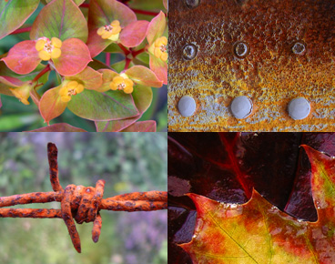 a few more of my farvourite things